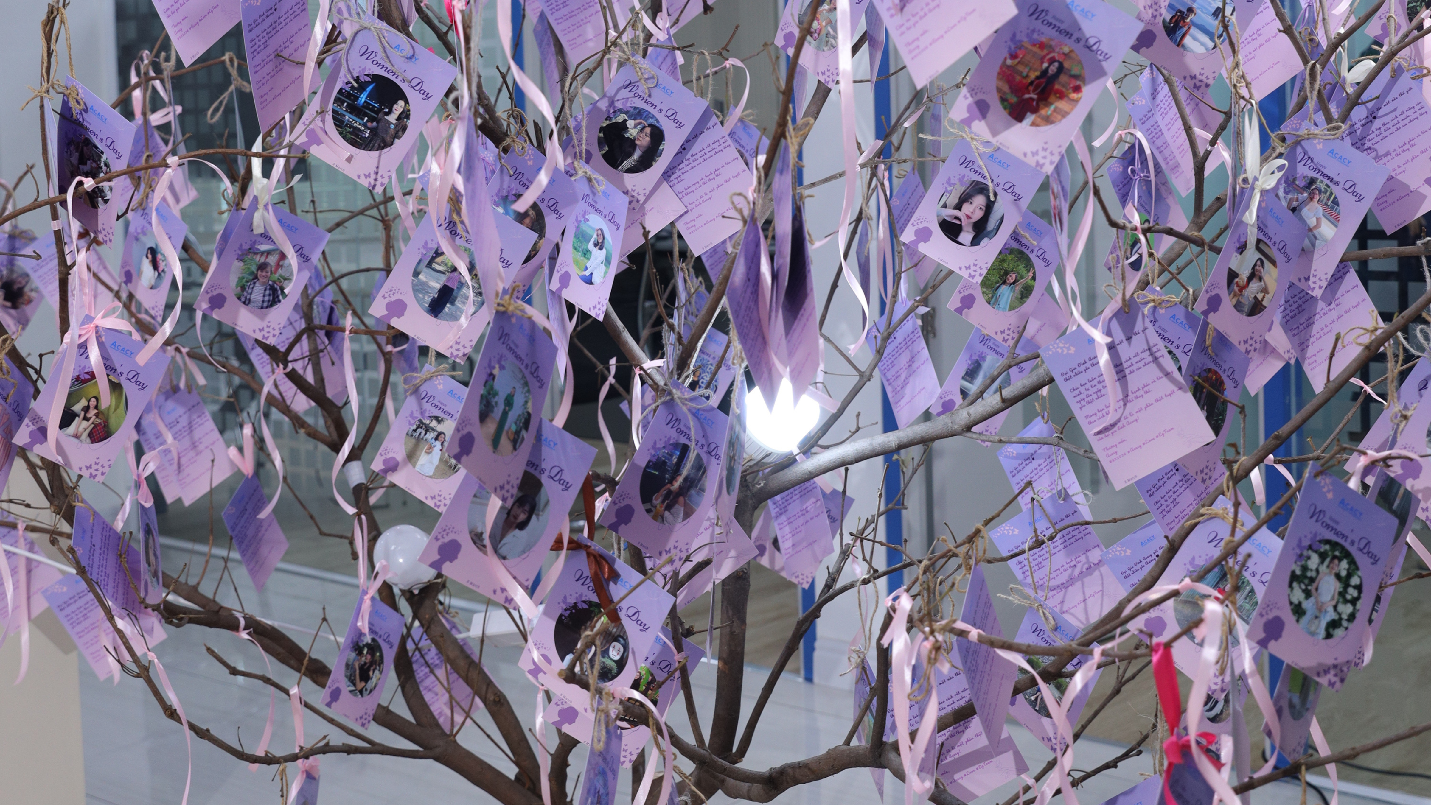 Lộc yêu thương dành cho nửa thế giới nhà Acacy